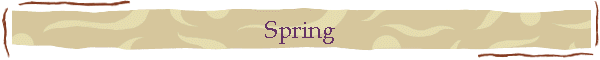 Spring
